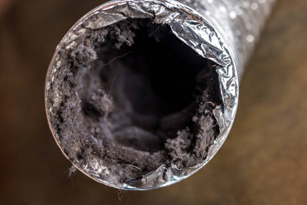 Best Affordable Duct Cleaning Services  in Upland, PA